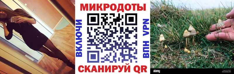 Псилоцибиновые грибы Psilocybine cubensis Нижние Серги