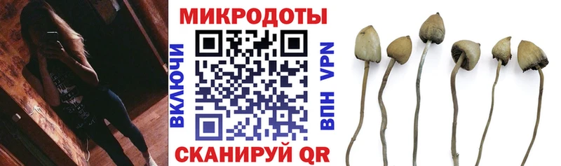 Купить  Нижние Серги  Галлюциногенные грибы Magic Shrooms 